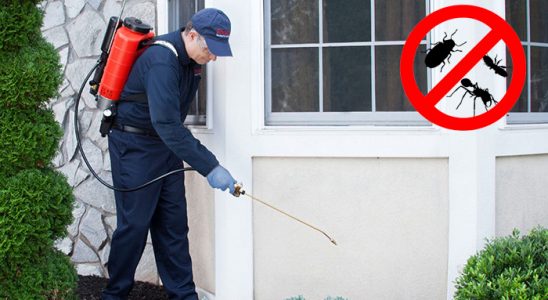 Gazipaşa Uçan Haşere İlaçlama böcek ilaçlama ve haşere kontrolü — ilaclama-tr.com